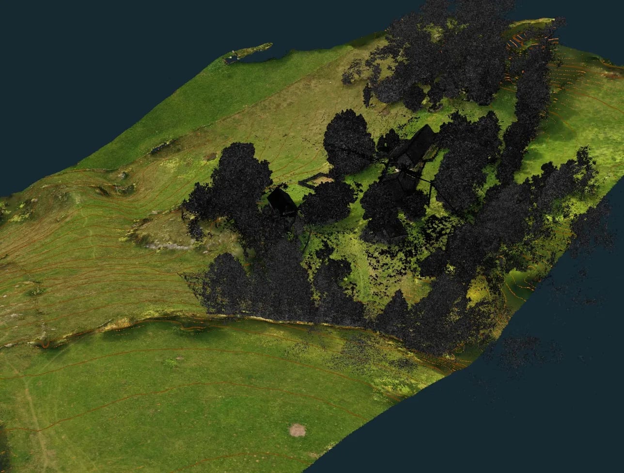 Ridicare topografică 3D cu poziționarea copacilor, scanare 3D clădiri și ortofotoplan — zonă montană — imagine 1